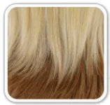 VIVICA FOX COLLECTION - WP-TAMARA WIG