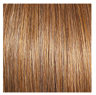 RAQUEL WELCH - INFATUATION ELITE WIG