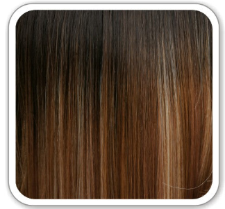 VIVICA FOX COLLECTION - TORI LACE FRONT WIG