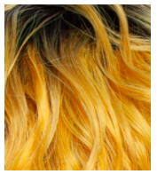 BROWN SUGAR - BSN210 - EVERGLADES