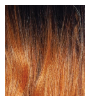 BROWN SUGAR - BSN210 - EVERGLADES