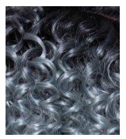 BROWN SUGAR - BSN210 - EVERGLADES