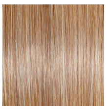 RAQUEL WELCH - STYLE SOCIETY WIG