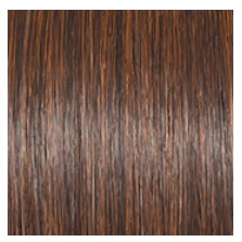 RAQUEL WELCH - STYLE SOCIETY WIG