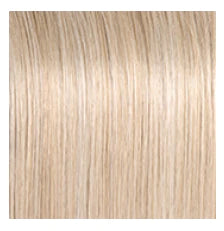 RAQUEL WELCH - STYLE SOCIETY WIG