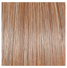 RAQUEL WELCH - STYLE SOCIETY WIG