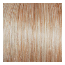 RAQUEL WELCH - TANGO PETITE AVERAGE WIG