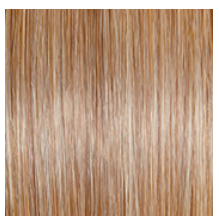 RAQUEL WELCH - SINCERELY YOURS WIG