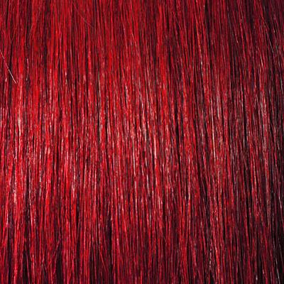 JANET COLLECTIONS - NEW BANG BANG 8"