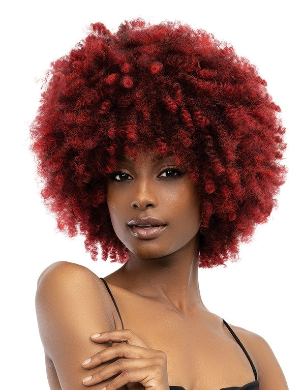 JANET COLLECTIONS - NATURAL AFRO KANE WIG
