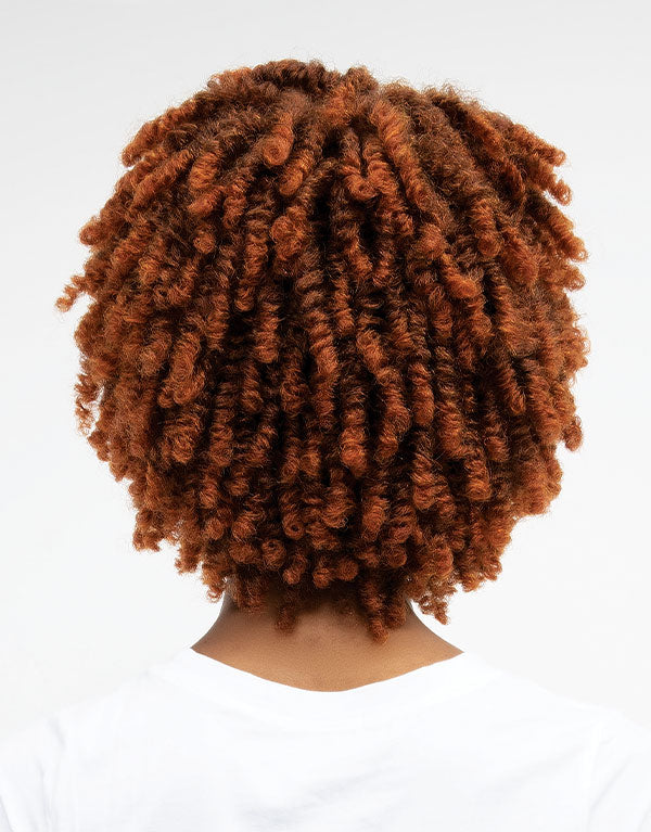 JANET COLLECTIONS - NATURAL AFRO KANE WIG