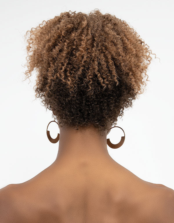 JANET COLLECTIONS - NATURAL AFRO MICA WIG