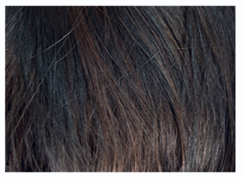 O-ZONE LACE FRONT WIG - OZONE 012