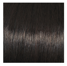 RAQUEL WELCH - TANGO PETITE AVERAGE WIG