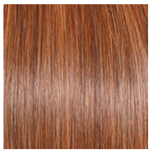 RAQUEL WELCH - EDITOR’S PICK WIG