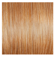 RAQUEL WELCH - TANGO PETITE AVERAGE WIG