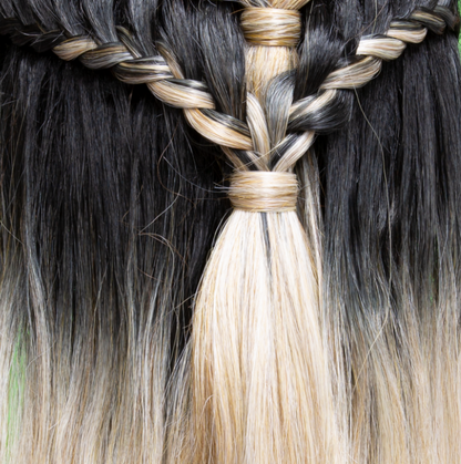 JANET COLLECTIONS EXTENDED PART LACE BRAID LAYLA WIG