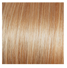 RAQUEL WELCH - SPARKLE ELITE WIG