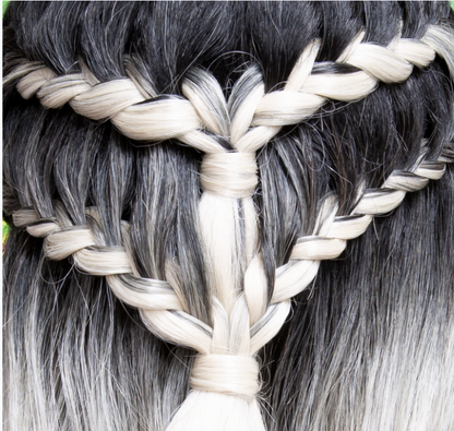 JANET COLLECTIONS EXTENDED PART LACE BRAID LAYLA WIG