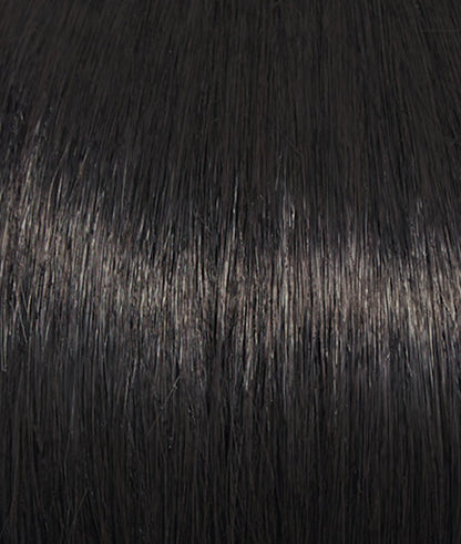 RAQUEL WELCH - SPARKLE ELITE WIG
