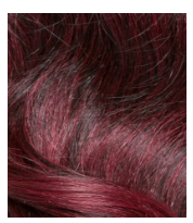 YELLOW TAIL SENEGAL TWIST WNT 12&quot;