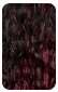 RED CARPET RCTP207 - ISABELLA LACE FRONT WIG